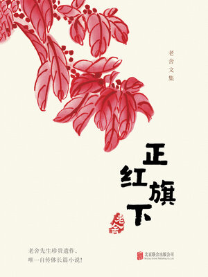 cover image of 有间文库